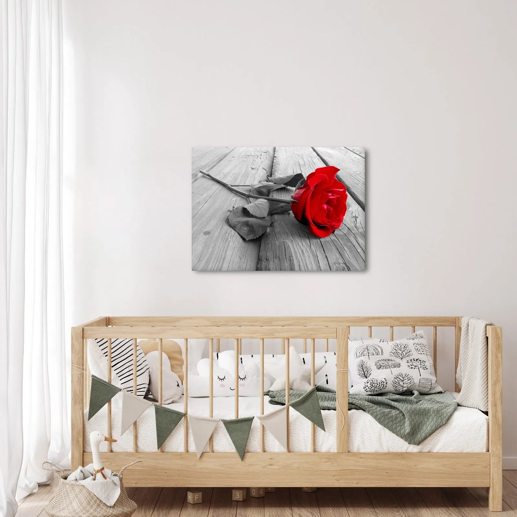 Obraz czerwonej róży (70x50 cm)