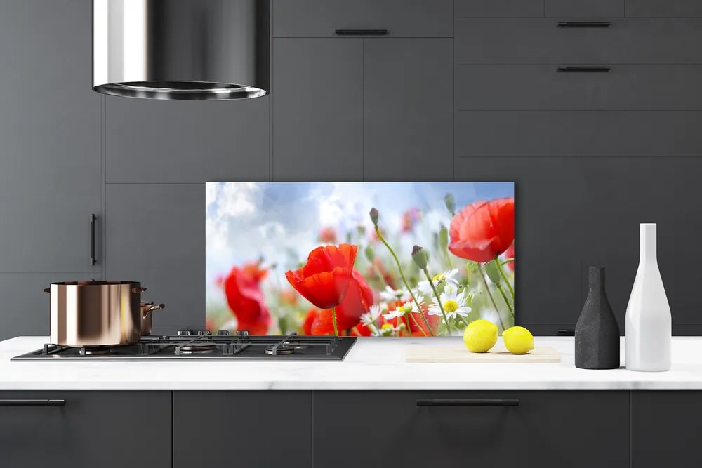 Panel Szklany Maki i Stokrotki na Łące