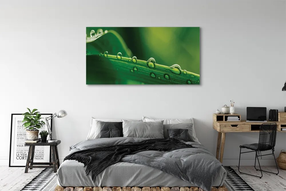Obraz drukowany na płótnie Źdźbło Trawy z Kroplą