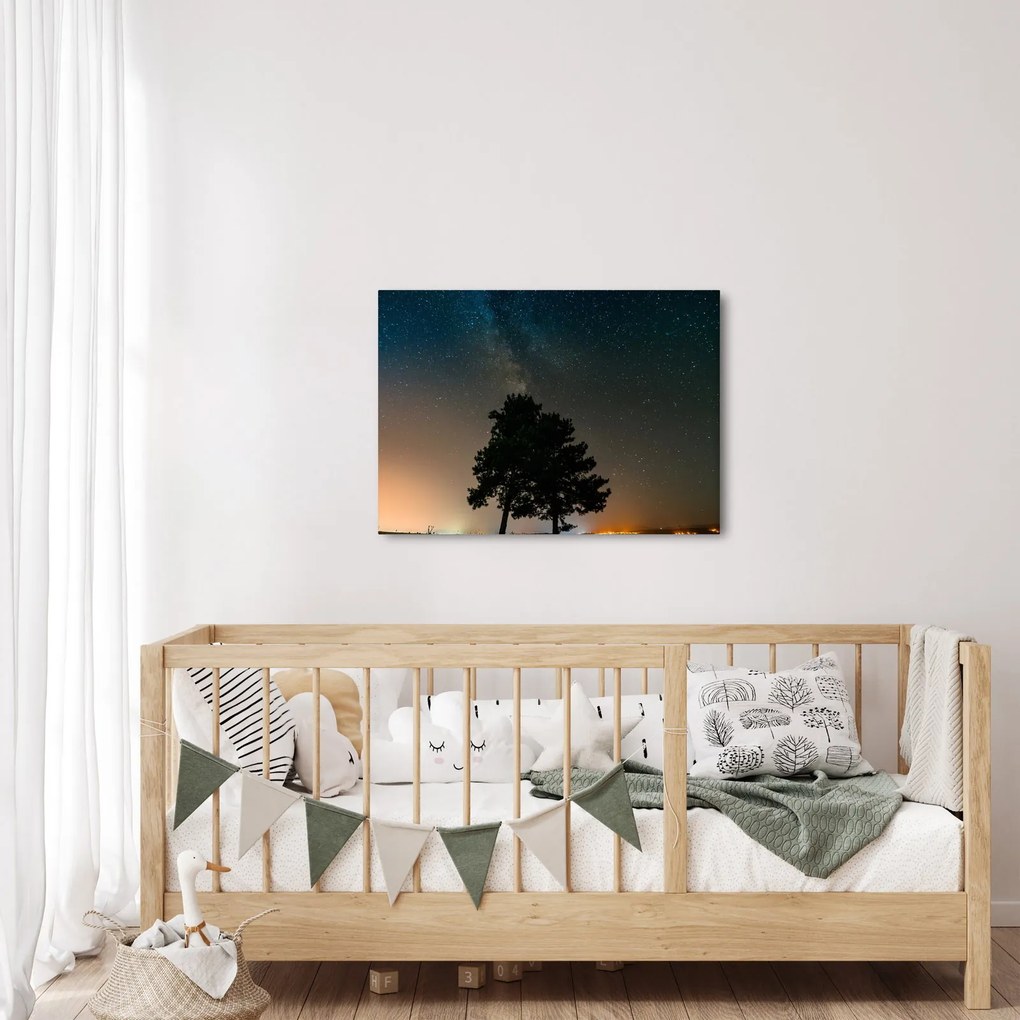 Obraz nocnego nieba z drzewami (70x50 cm)