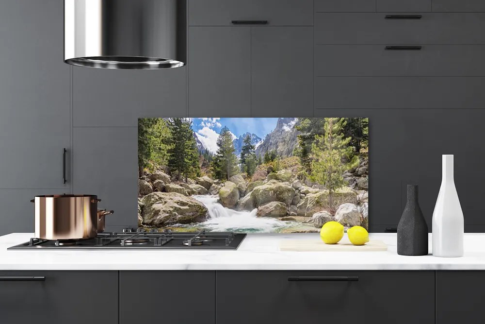 Panel Szklany Dziki Potok w Górskim Lesie