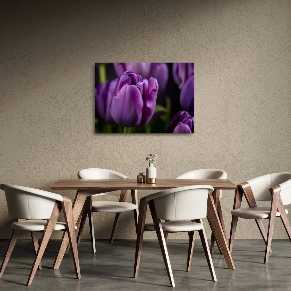 Obraz na szkle - kwiaty tulipanów (70x50 cm)