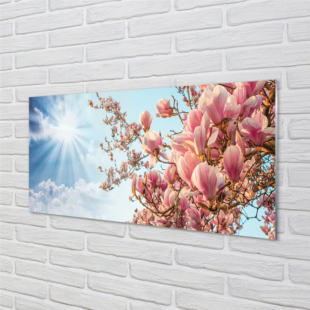 Szklany Panel Magnolia na tle Błękitnego Nieba