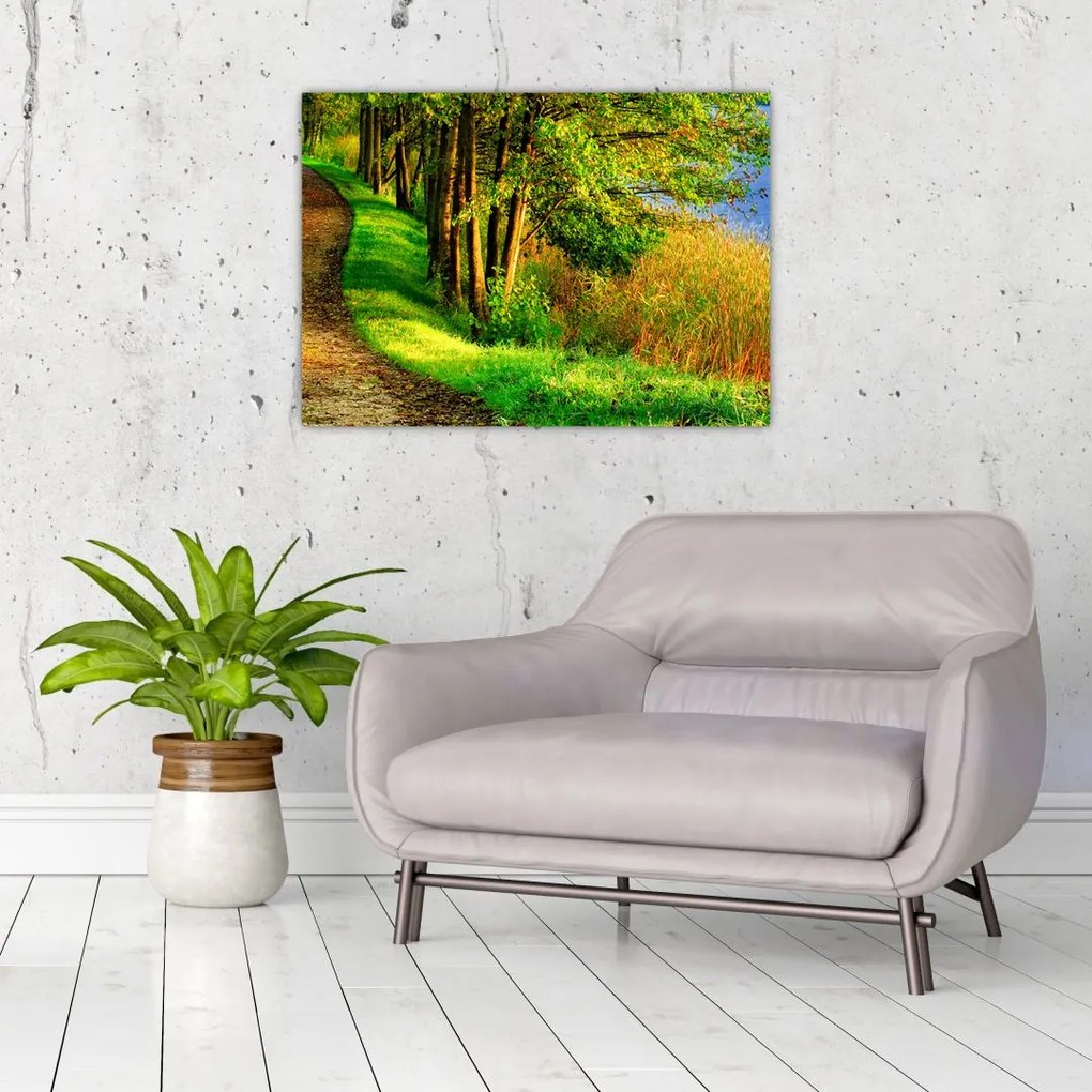Obraz na szkle szlaku wzdłuż wody (70x50 cm)