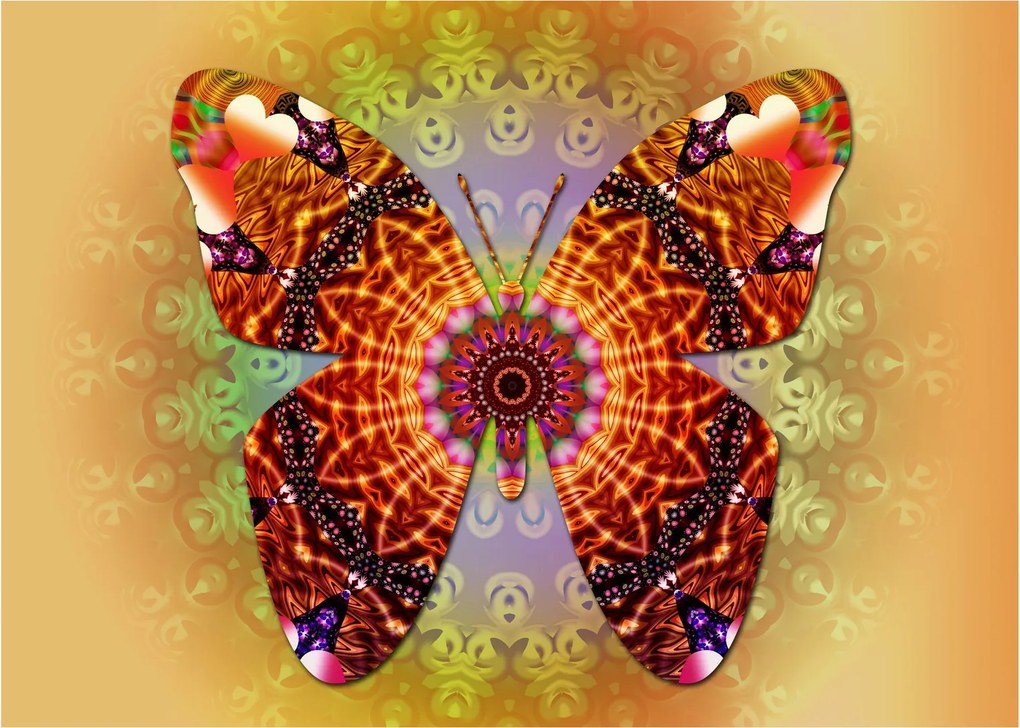 Obraz na szkle - Etno motyl (70x50 cm)
