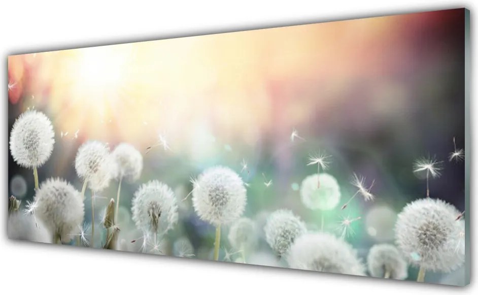 Szkło Dekoracyjne do Kuchni Lekkość Polnych Dmuchawców