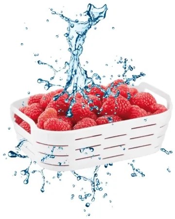 Tescoma Pojemnik do zamrażarki z koszem 4FOOD 1,0 l, 1 l