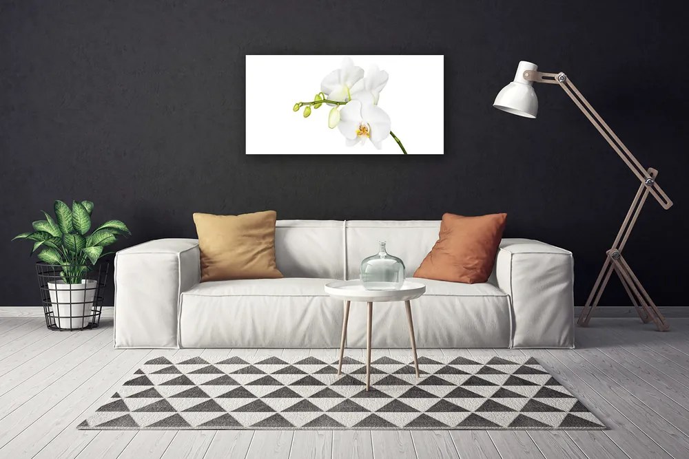 Obraz canvas Egzotyczna Elegancja Orchidei