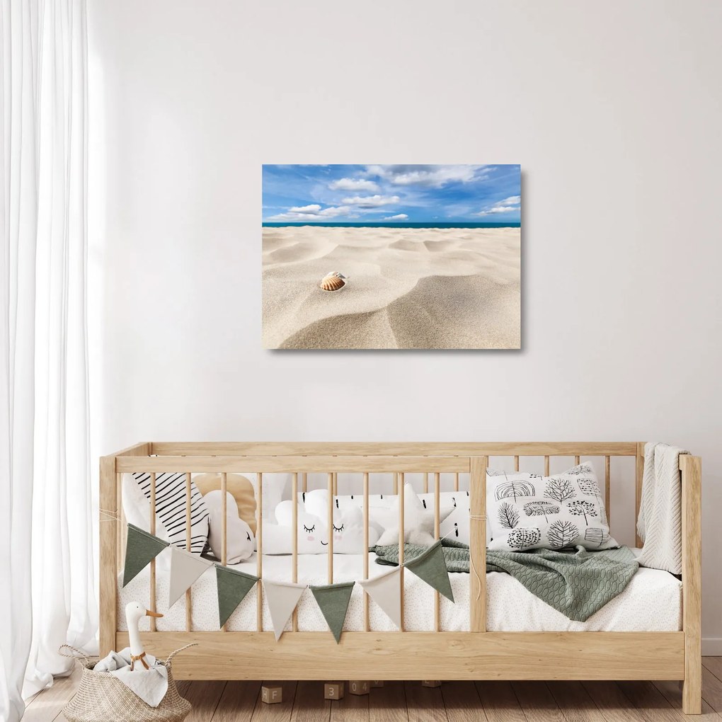 Obraz na szkle - Muszle na plaży (70x50 cm)