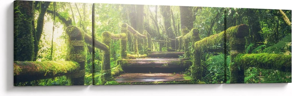 Obraz - drewniane schody w lesie (170x50 cm)