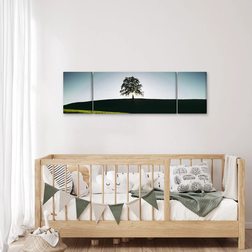 Obraz natury - drzewo (170x50 cm)