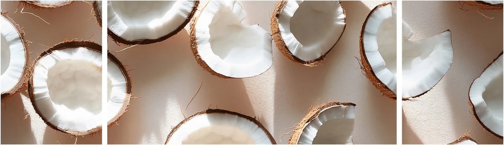 Obraz - Kokosy (170x50 cm)