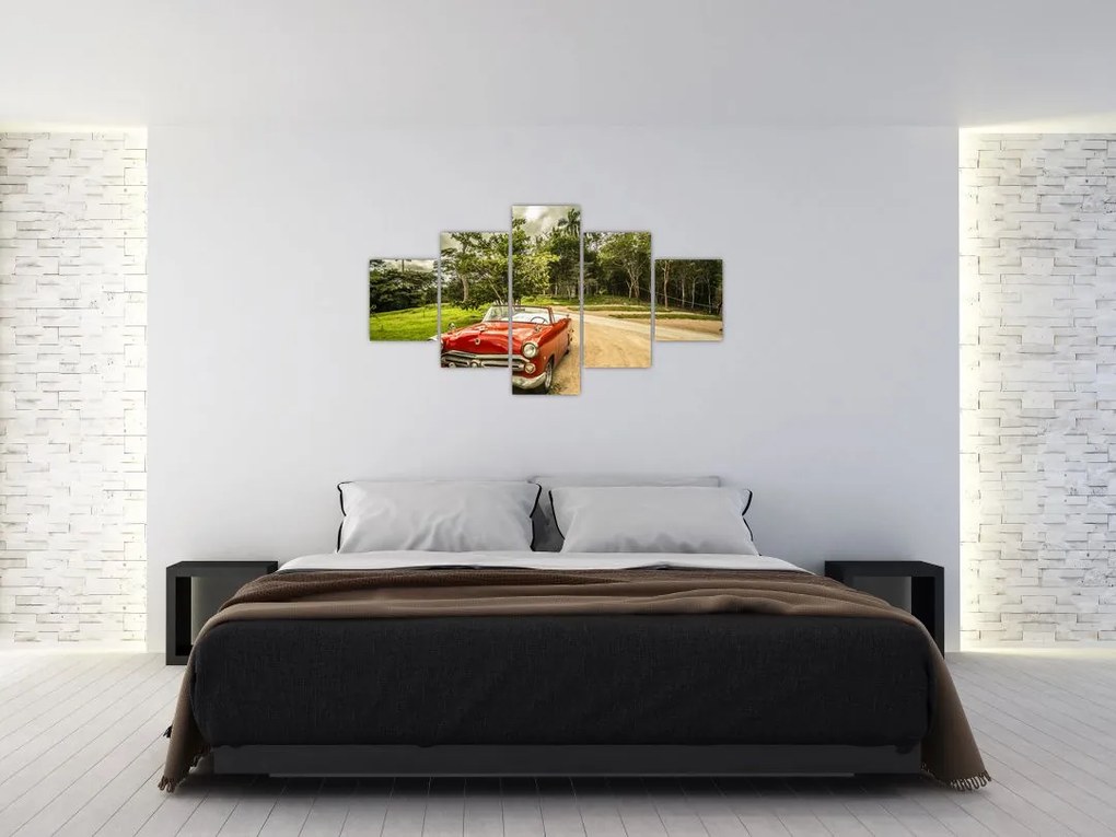 Obraz - zabytkowy samochód w przyrodzie (125x70 cm)