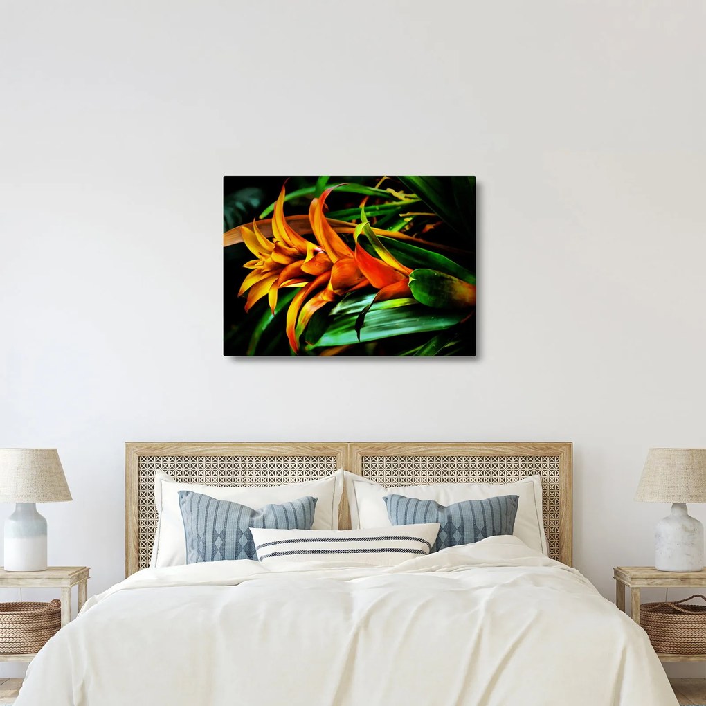 Obraz pomarańczowego kwiatu (70x50 cm)