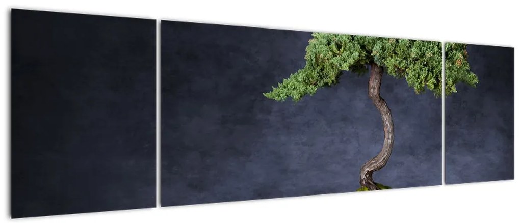 Obraz - Bonsai (170x50 cm)