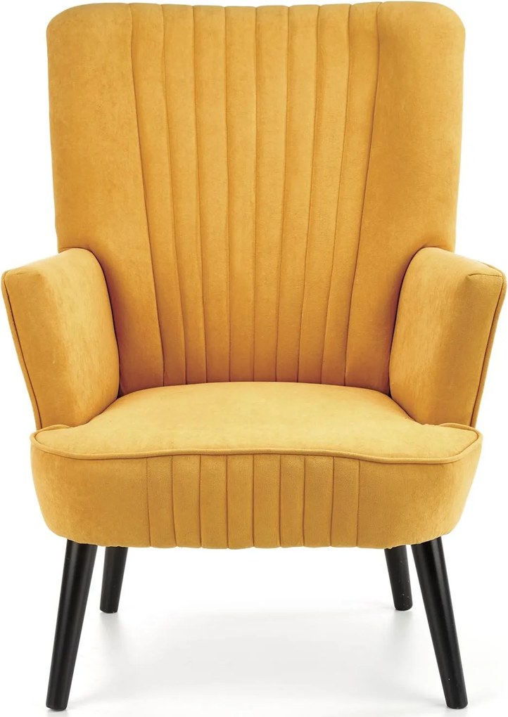 Wygodny fotel wypoczynkowy z podłokietnikami Delgado