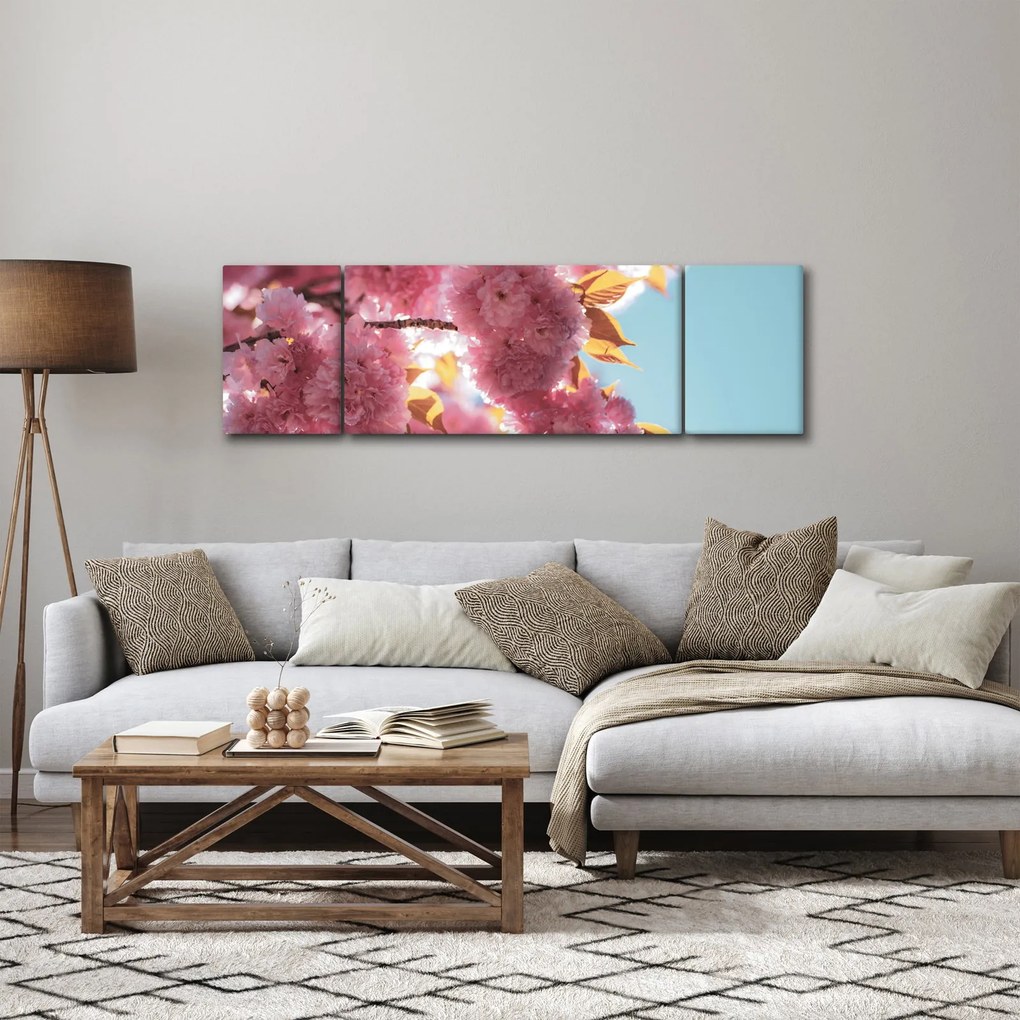 Obraz - Kwiat wiśni (170x50 cm)