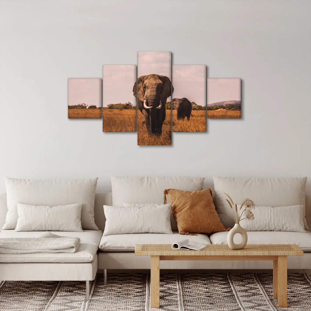 Obraz - Przybycie słonia (125x70 cm)