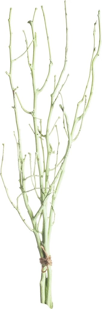 Gałązka Leszczyny 50cm light green