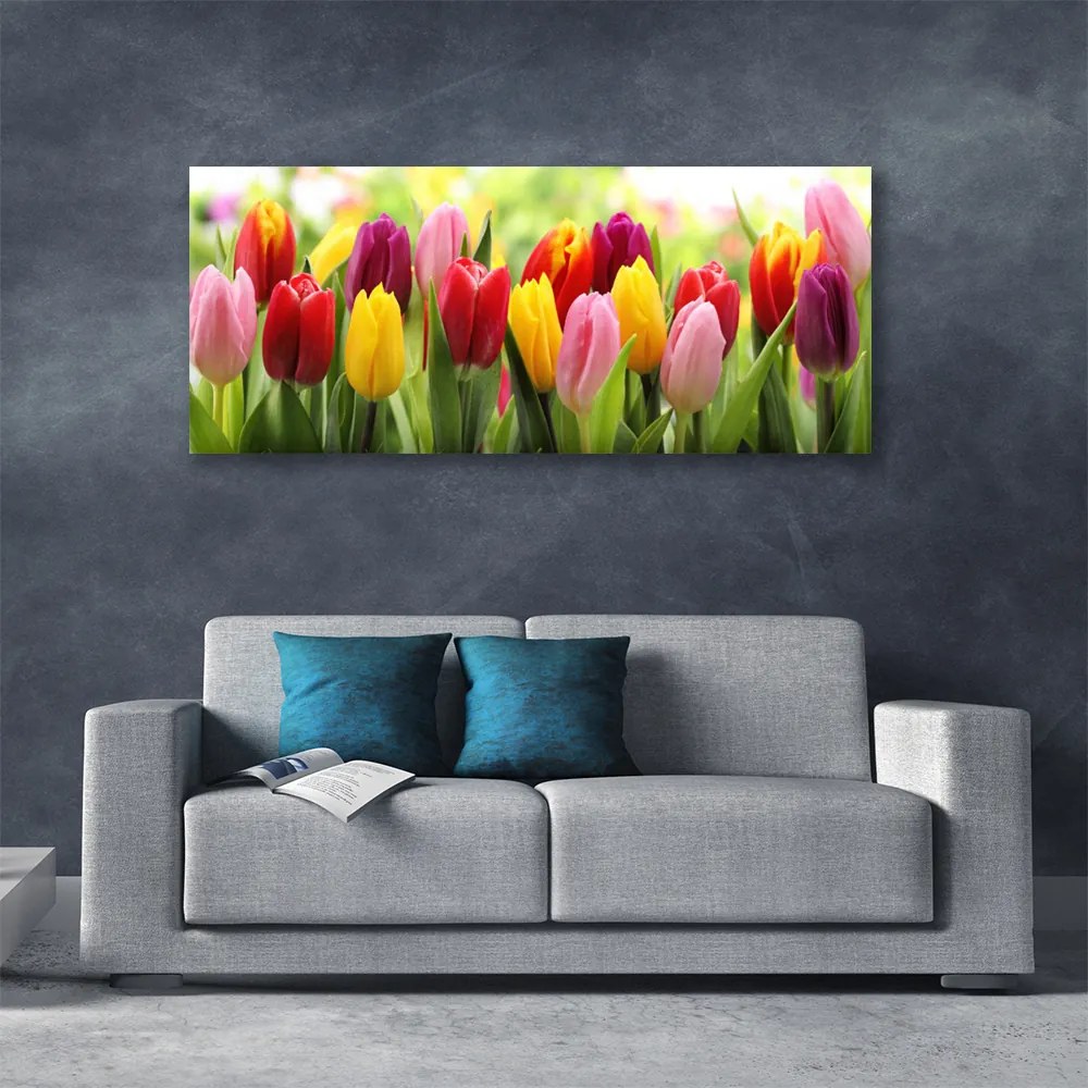 Obraz Canvas Tulipany Kwiaty Natura