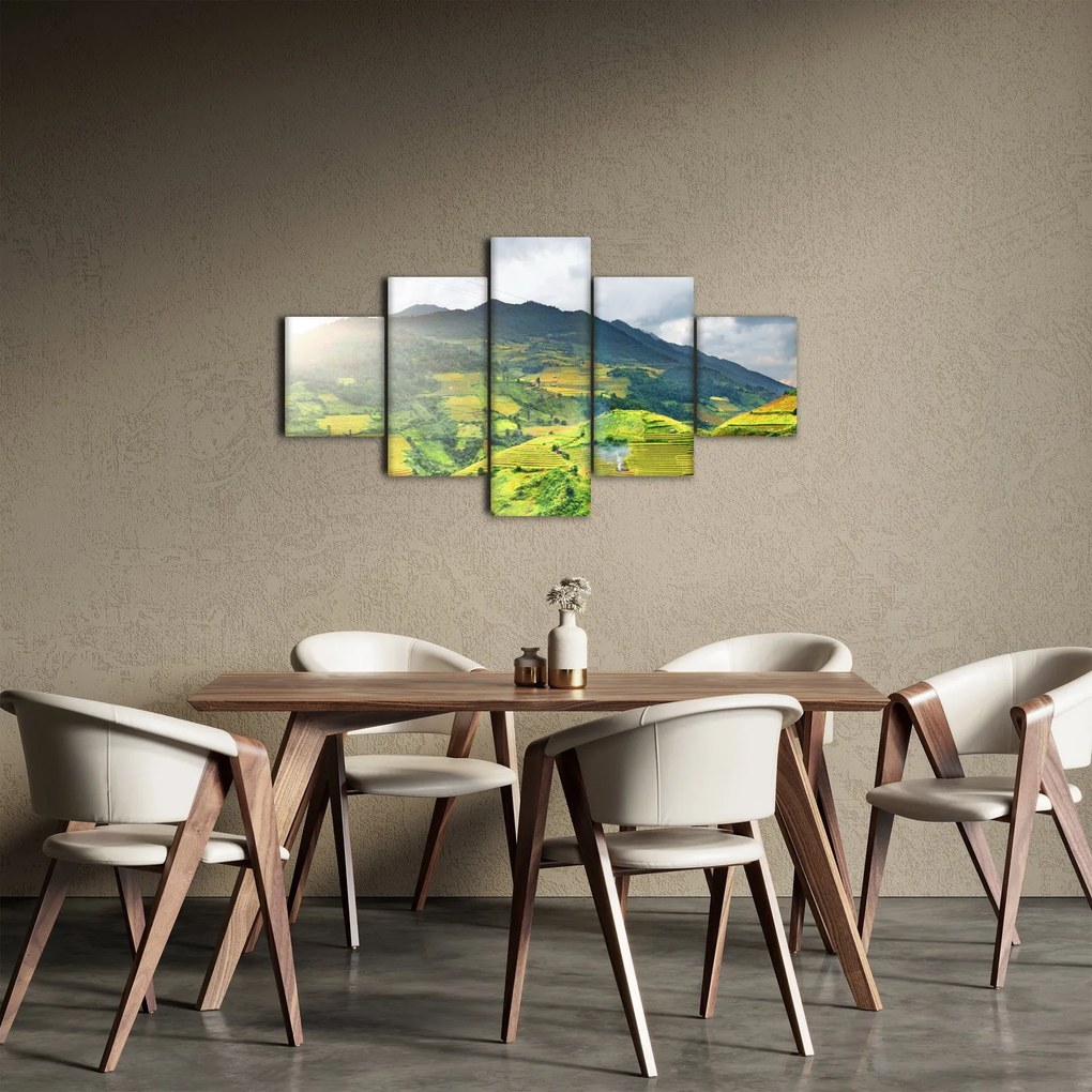 Obraz plantacji (125x70 cm)