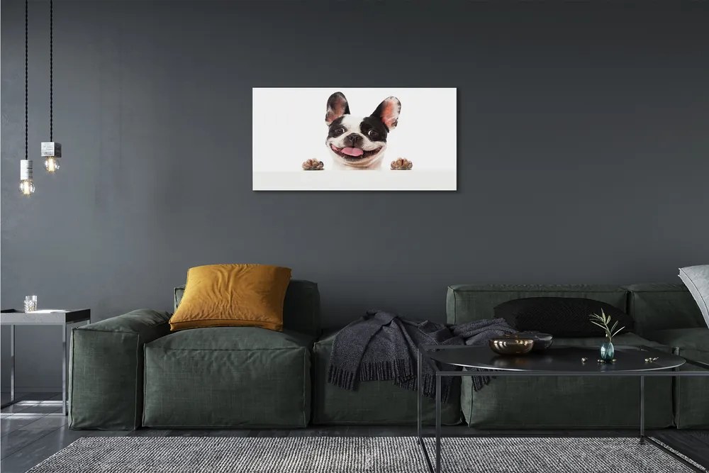 Obraz drukowany na płótnie Portret Psa