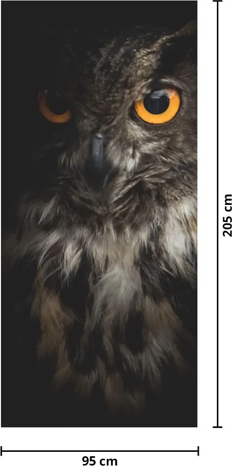 Fototapeta na drzwi - Sowa (95x205cm)