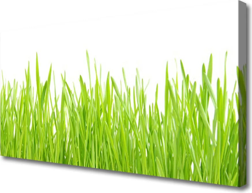 Obraz canvas Świeżość Letniego Trawnika