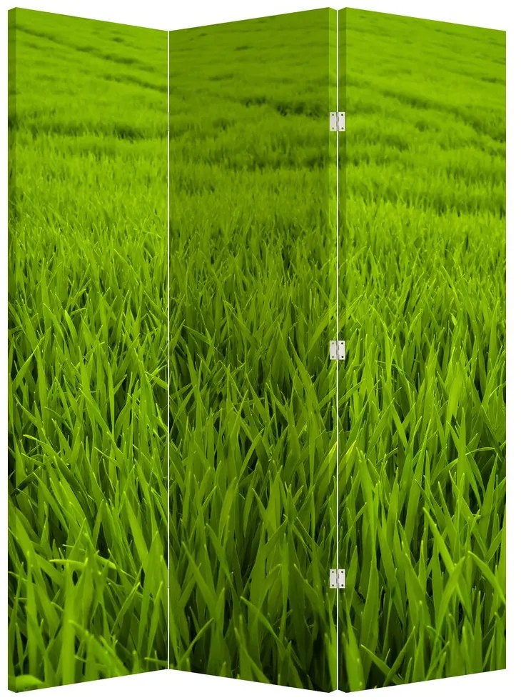 Parawan - Trawa (126x170 cm)