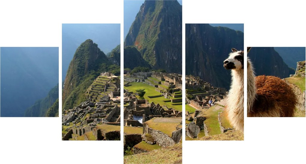 Obraz - Lama i Machu Picchu (125x70 cm)