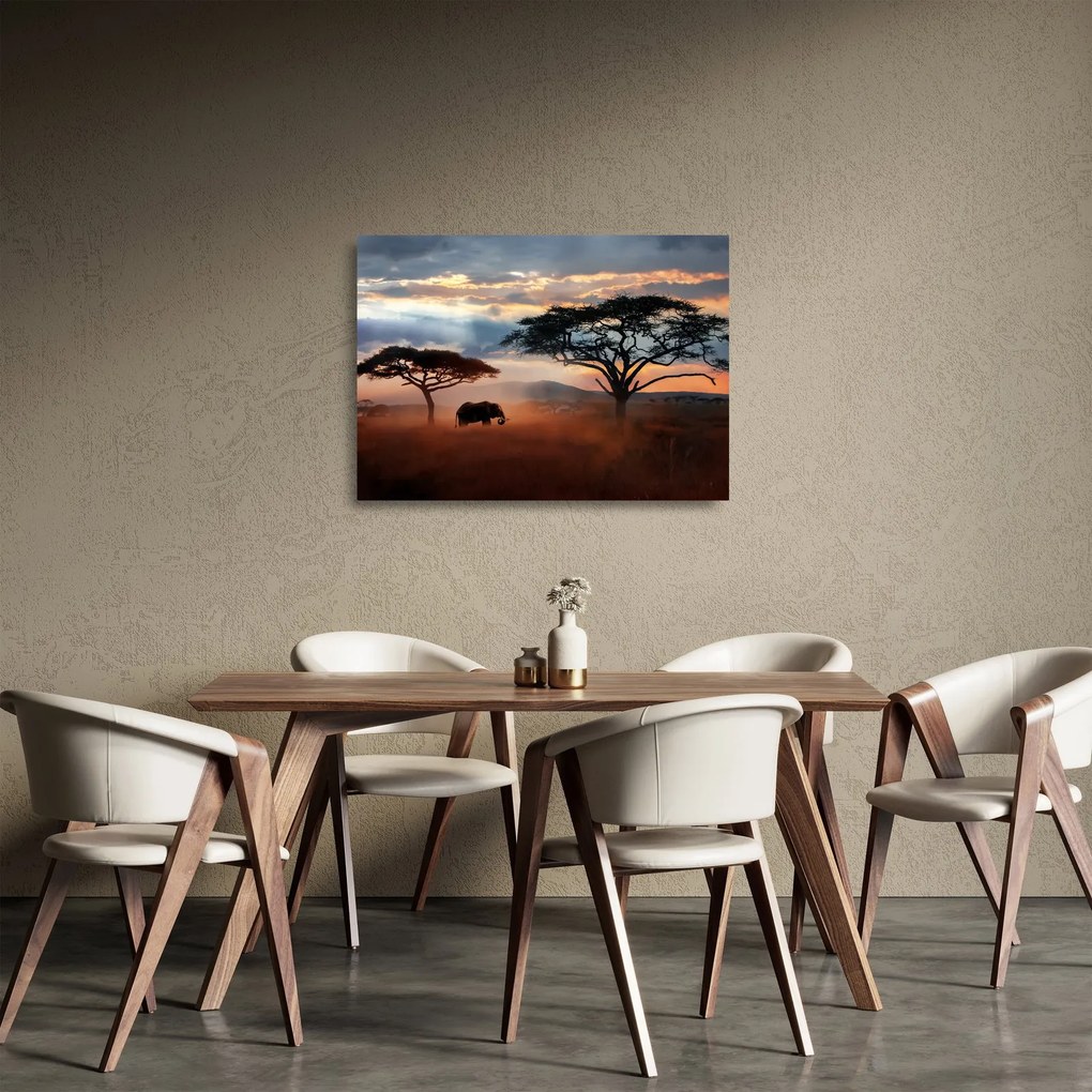 Obraz na szkle - Park Narodowy Serengeti, Tanzania, Afryka (70x50 cm)