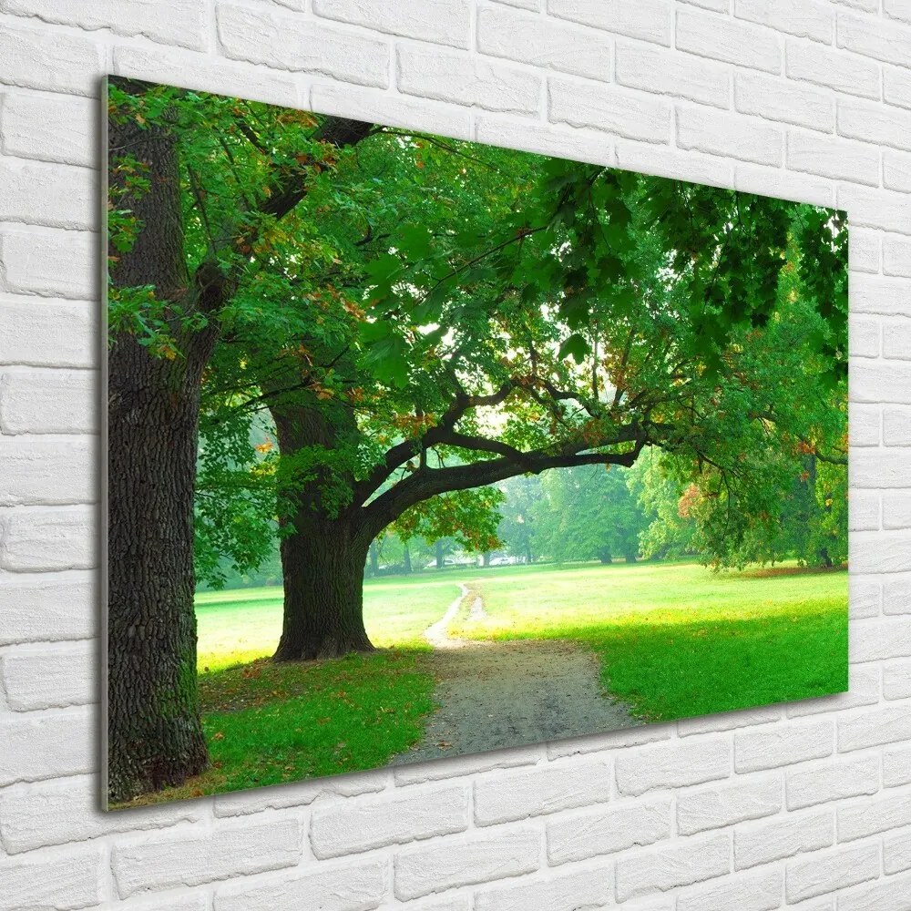 Foto obraz szkło hartowane Park jesienią