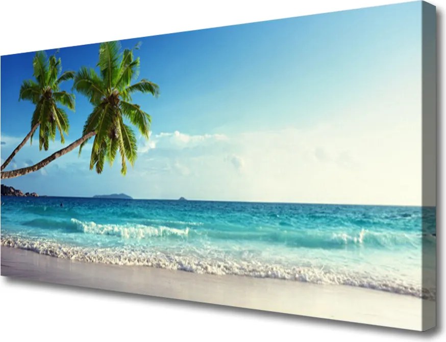 Obraz drukowany na płótnie Tropikalna Palma na Wybrzeżu