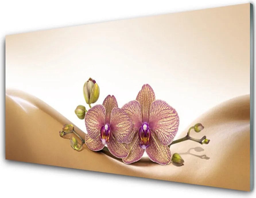 Panel Kuchenny Drzewa W Porannym Słońcu