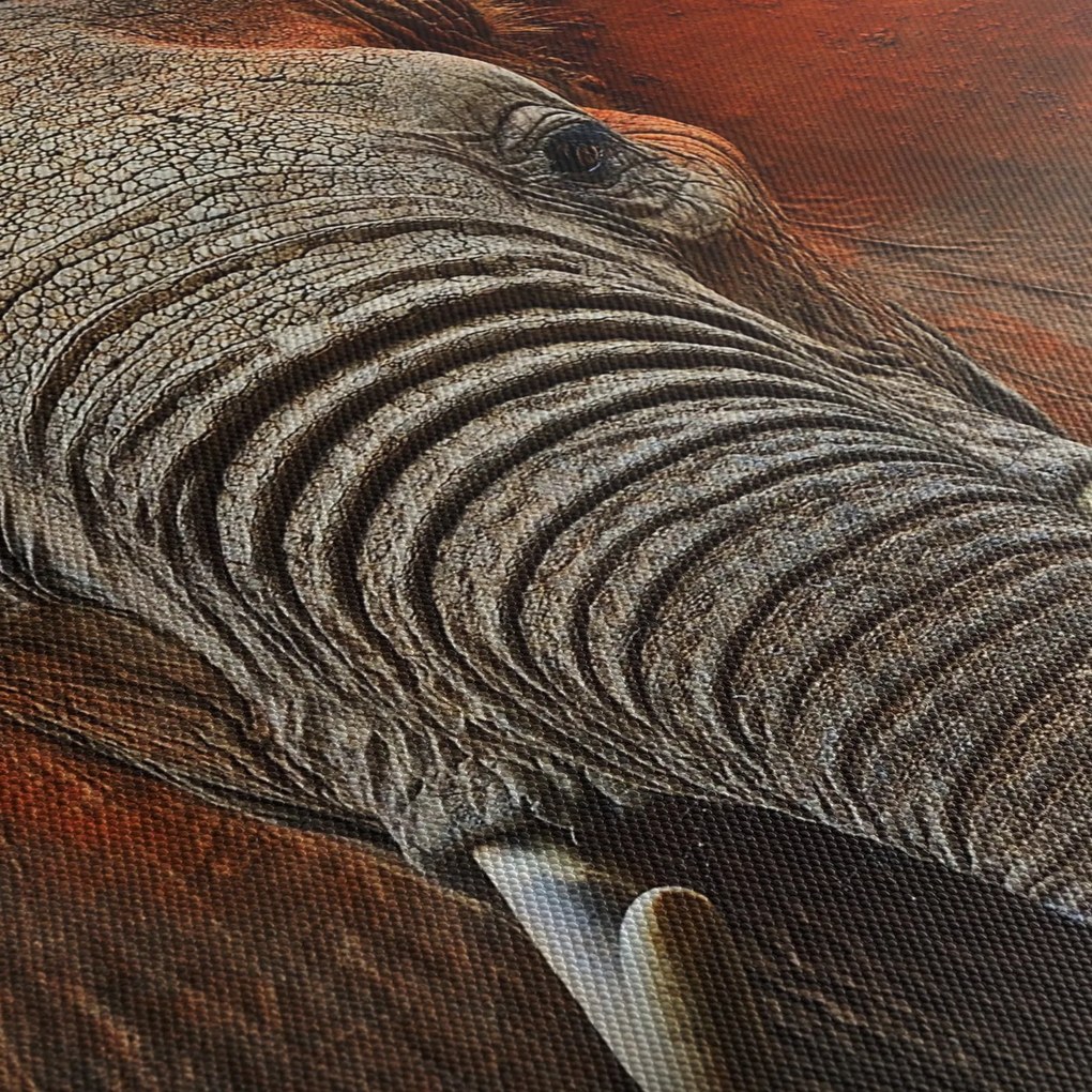 Obraz - Słonie z Tsavo (70x50 cm)