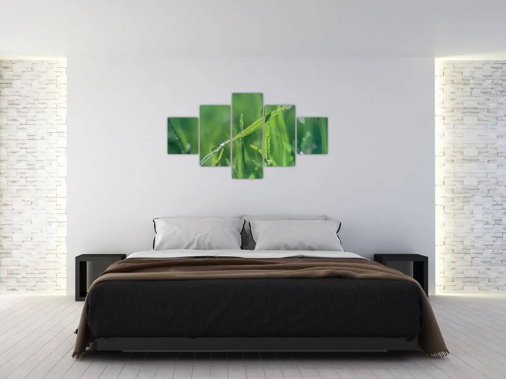 Obraz kropli rosy (125x70 cm)
