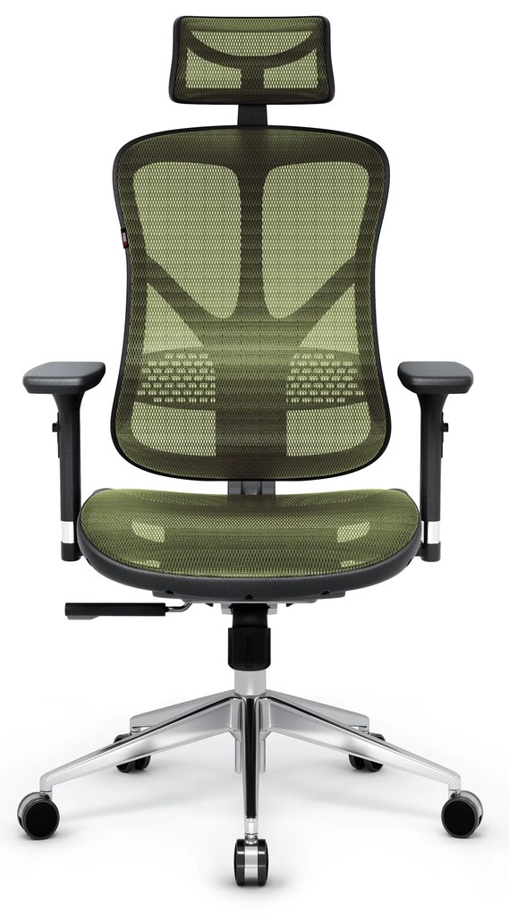 Fotel ergonomiczny Diablo V-Basic, czarno-zielony
