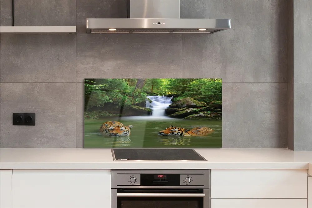 Szklany Panel Tygrysy przy Wodospadzie