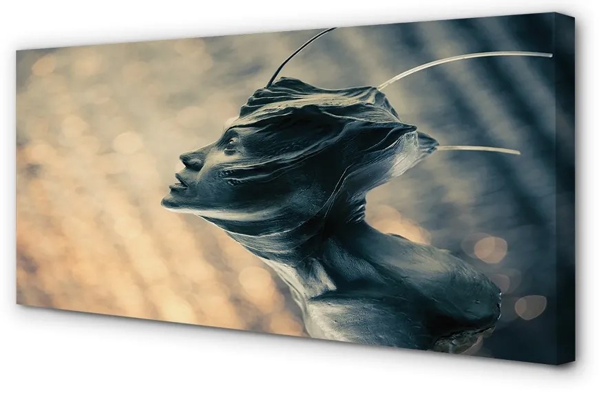 Zdjęcie na płótnie Głowa Postaci