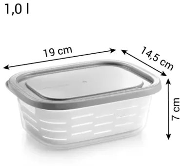 Tescoma Pojemnik do zamrażarki z koszem 4FOOD 1,0 l, 1 l