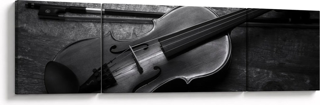 Obraz - Altówka (170x50 cm)