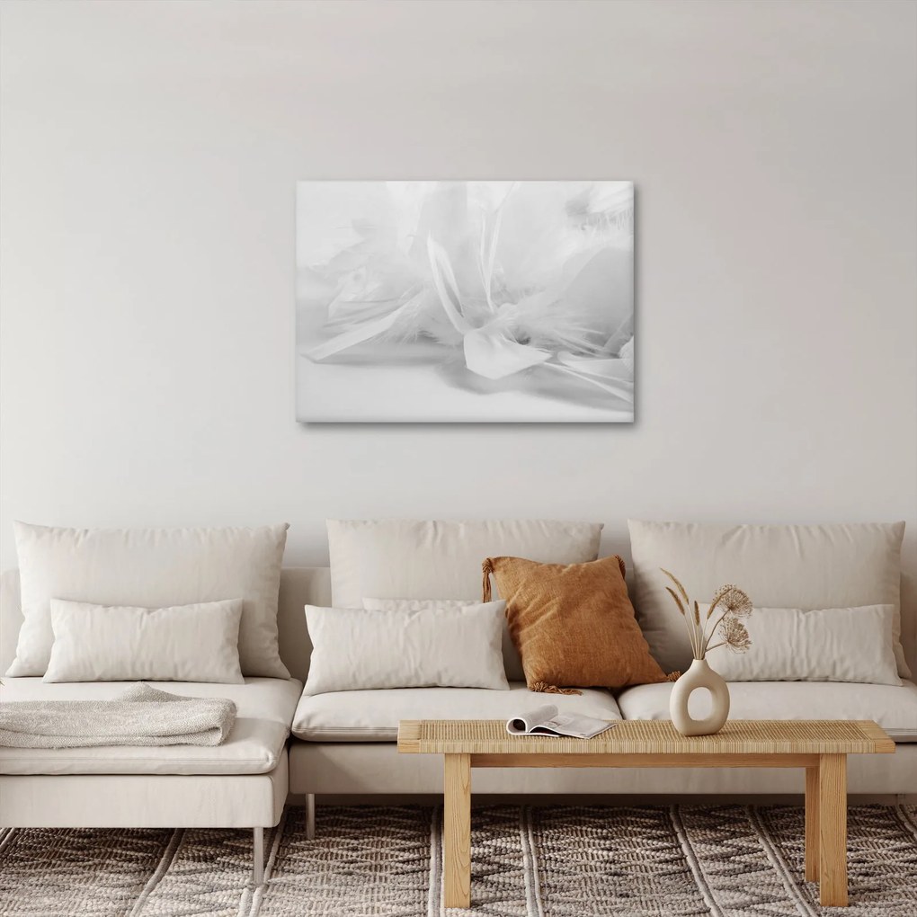 Obraz - Pióra (70x50 cm)