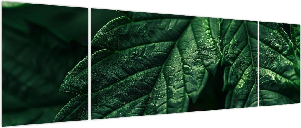 Obraz - Szczegół arkusza (170x50 cm)