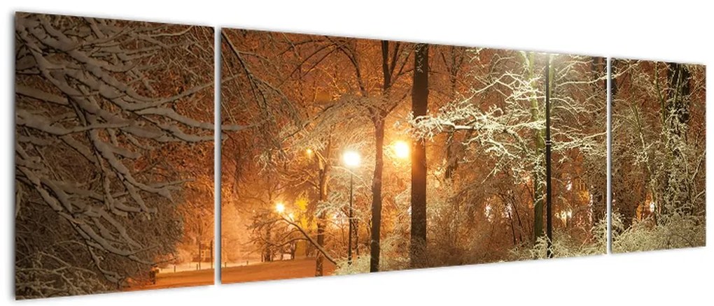 Obraz - Zaśnieżony park (170x50 cm)