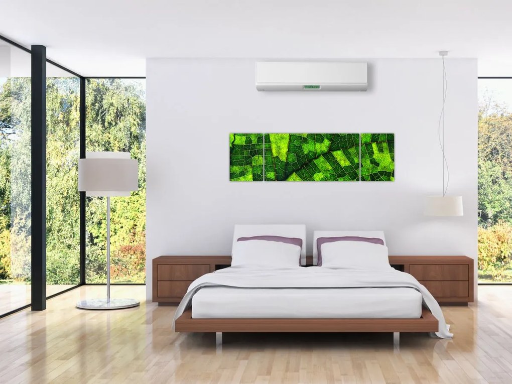 Obraz - Detal liścia (170x50 cm)