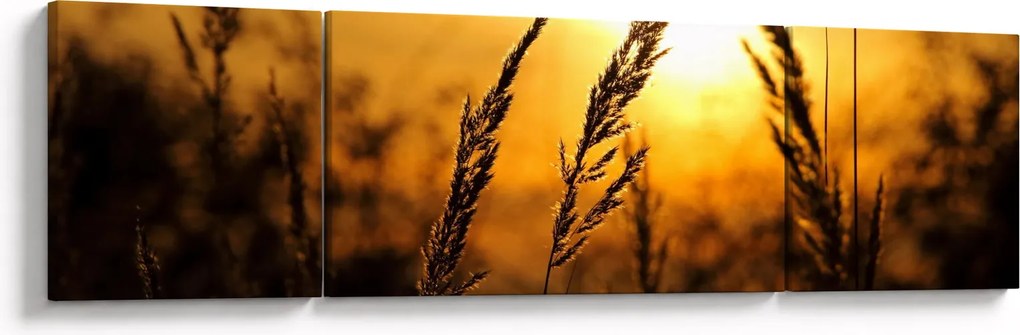 Obraz zachodzącego słońca (170x50 cm)