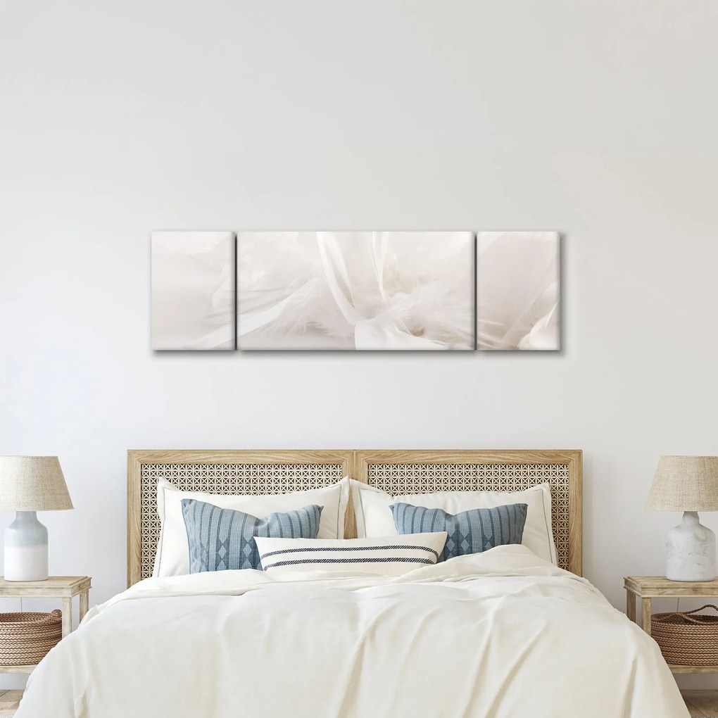 Obraz - Pióro (170x50 cm)