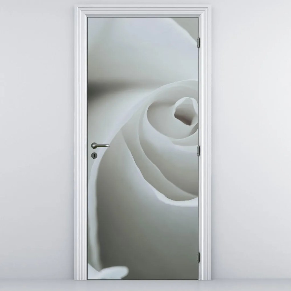 Fototapeta na drzwi - Biała róża (95x205cm)