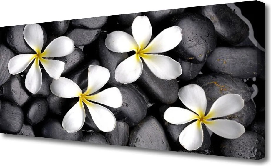 Obraz na płótnie Pastelowe Kwiaty w Rozkwicie