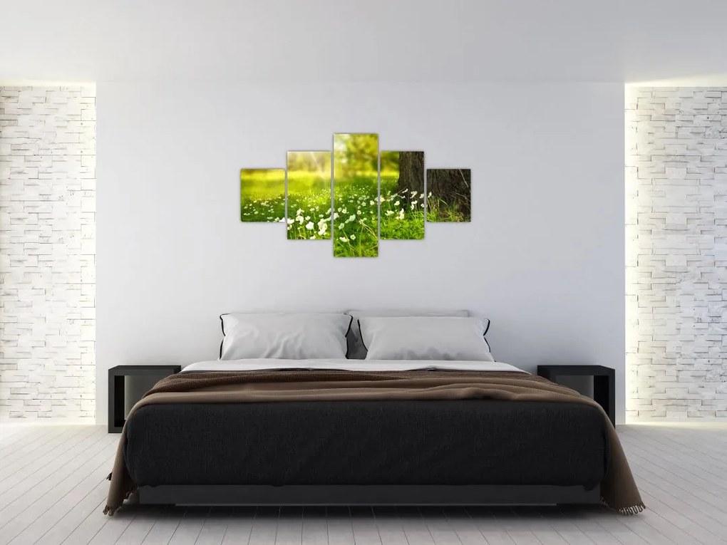 Obraz polany i kwiatów (125x70 cm)
